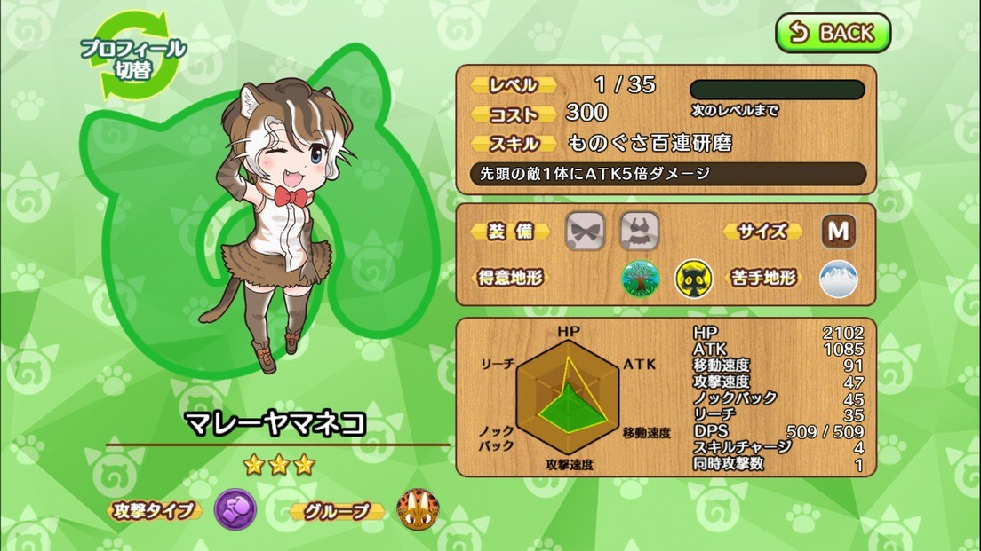 扁头豹猫.jpg