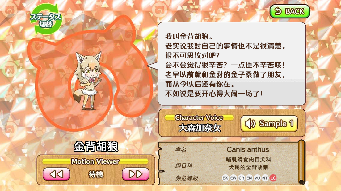 金背胡狼
